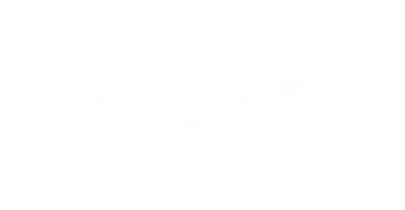 partners who work with BollyGame